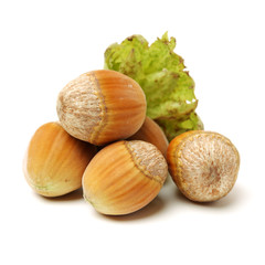 Hazelnut on a white background