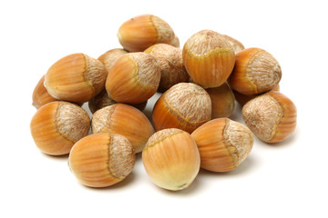 Hazelnut on a white background