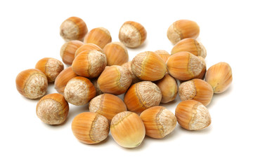 Hazelnut on a white background
