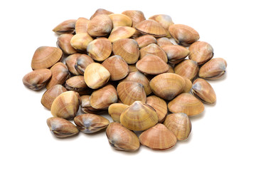 Stacked fresh raw clams on white background
