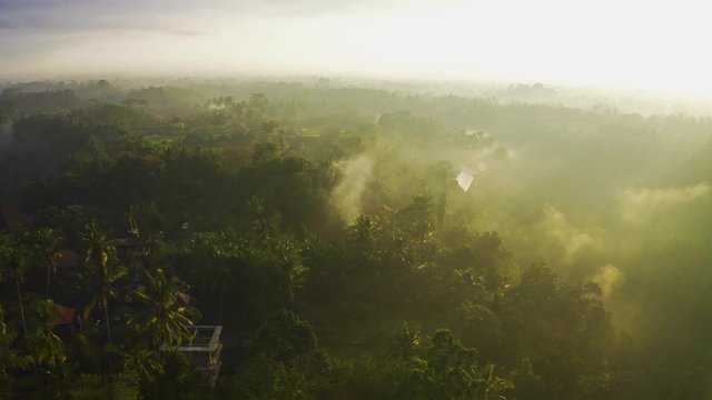 Morning fog and rain over the brazilian rainforest of the Amazonas. Aerial view 4K.