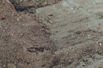 brown soil on the ground as texture and background.