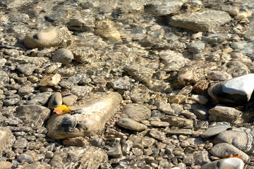 Blurred pebbles and stones in a river in Provence. South of France. 