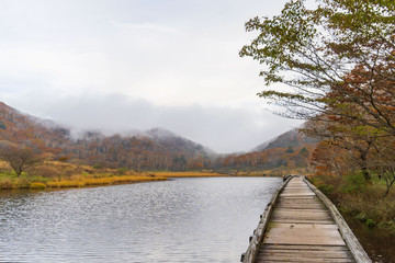 木製の遊歩道と霧の湖／This wetland is the awakening of Gunma Prefecture in Japan