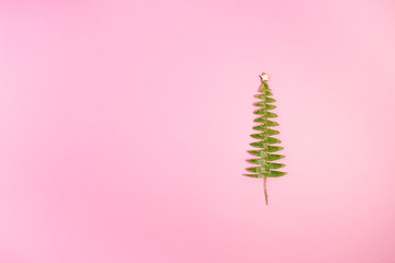 Minimalistic Christmas tree on pink pastel trendy background
