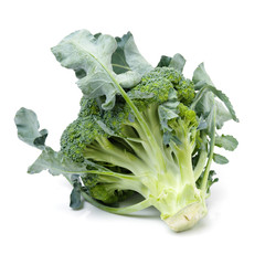 Broccoli vegetable on white background