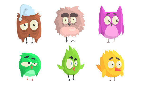 Cartoon birds with eyebrows. Vector illustration on White Background.