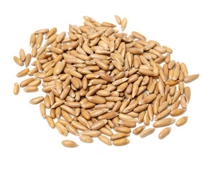 Pine nuts on white background