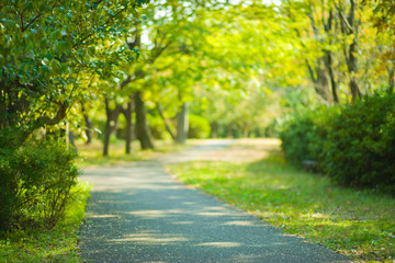 green park blur bokeh background