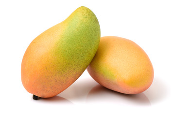 Mango on a white background
