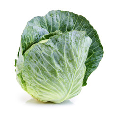 Fototapeta premium Cabbage on a white background