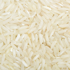 close up shot of the rice background