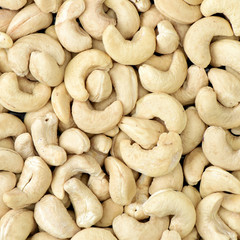 Cashews nut background