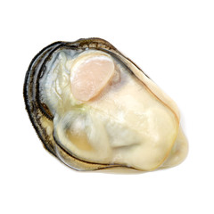 Fresh opened oyster on white background