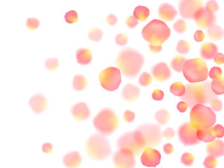 Rose gold petals flying cosmetics vector background.
