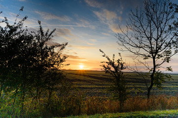Sonnenaufgang über Acker