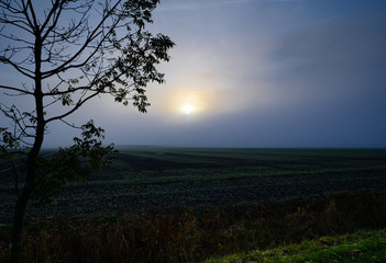 Fototapeta na wymiar Sonnenaufgang im Nebel über gepflügtem Acker