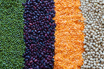 Background from mung bean, red lentils, beans, chickpeas. Healthy vegetarian food concept. Legumes contain a lot of protein. Flat lay.