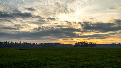 Evening landscape. Field and forest edge. Clouds and sunset.