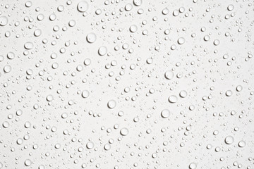Water droplets on white background