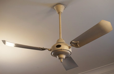 Ceiling fan of the ceiling of the room