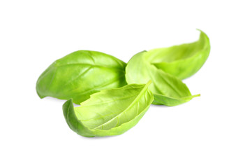 Fresh green basil leaves isolated on white