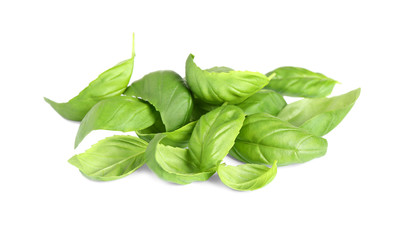 Fresh green basil leaves isolated on white