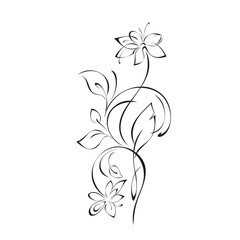 ornament 943. stylized twig with blossoming flowers, leaflets and curls in black lines on a white background