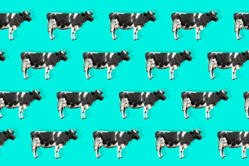 Cow isolated on bright blue background animal pattern.