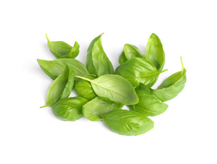 Obraz premium Pile of fresh basil leaves isolated on white