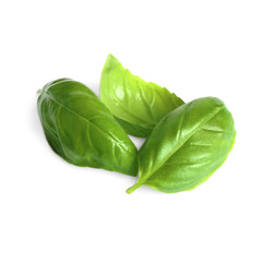 Fresh green basil leaves isolated on white