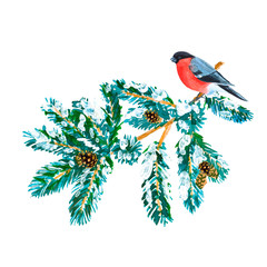 Watercolor forest composition with pine branch and bullfinch isolated on a white background