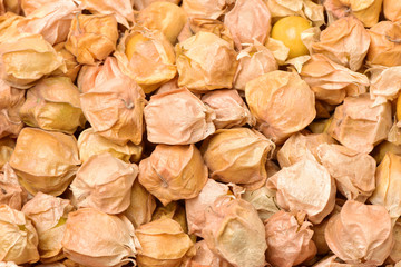 Physalis fruit isolated background 
