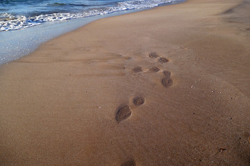 playa
