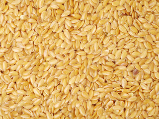 linseed background, Seed of superfood