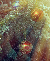 Fototapeta na wymiar Christmas Tree Branch