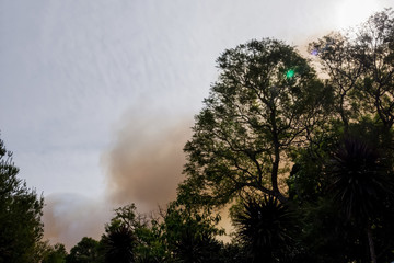 Fototapeta na wymiar Australian bushfire: trees silhouettes and smoke from bushfires covers the sky and glowing sun barely seen through the smoke. Catastrophic fire danger, NSW, Australia