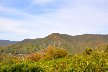 The foothills of the Caucasus