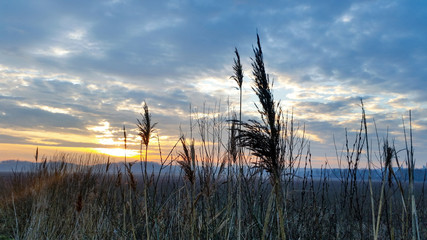 Obraz premium sunset over the fild