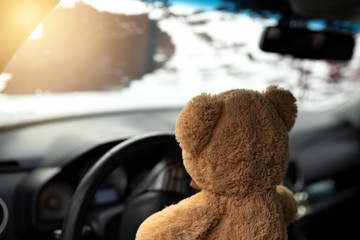 teddy bear driving