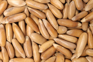 Pine nuts on white background