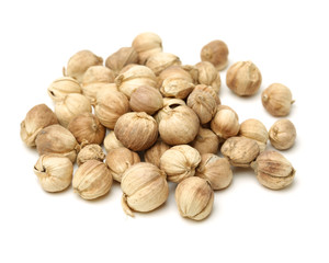 cardamom on white background