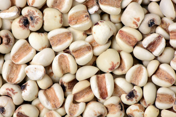 Job's tears background