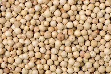 white peppercorns background 
