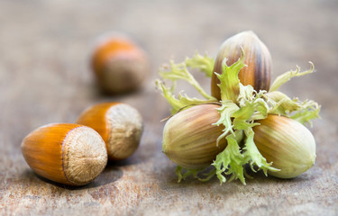 Natural medicine ingredients, ripe and green hazelnuts, healthy eating, christmas food concept, web banner