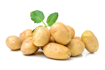 New potato isolated on white background 