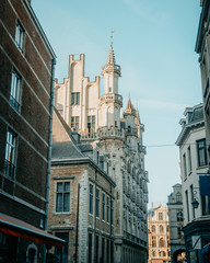 In a side street between beautiful buildings, you can see a Gothic building with towers.