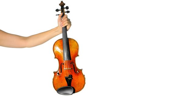 Female hand holds violin on white studio background. Lots of copy space.