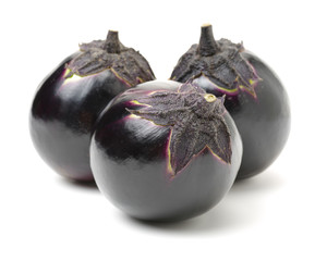 Purple eggplant on white background