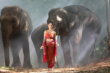 Beautiful young Asian woman dressed in traditional native dress and elephant in forest of village Surin Thailand